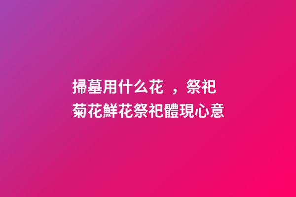 掃墓用什么花，祭祀菊花鮮花祭祀體現心意-第1張-觀點-玄機派